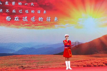 寻找萌小老虎