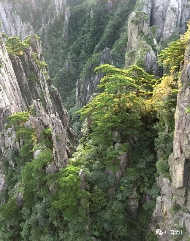 跳出生产车间