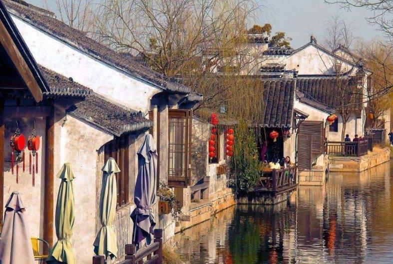 重庆武隆发现神秘巨型蝌蚪，为何“巨婴”长大后体型反而严重缩水了？