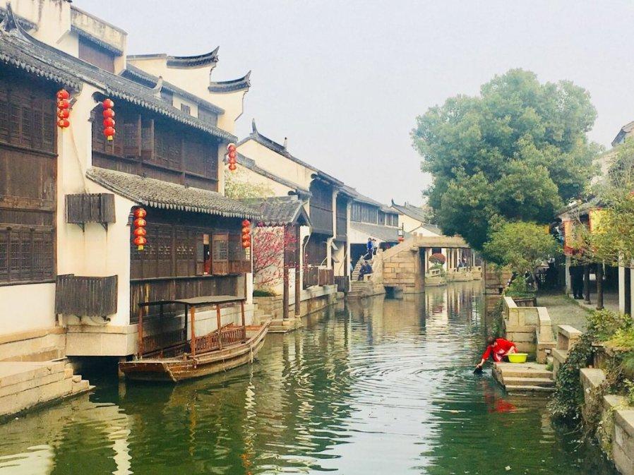 植物大战僵尸3
